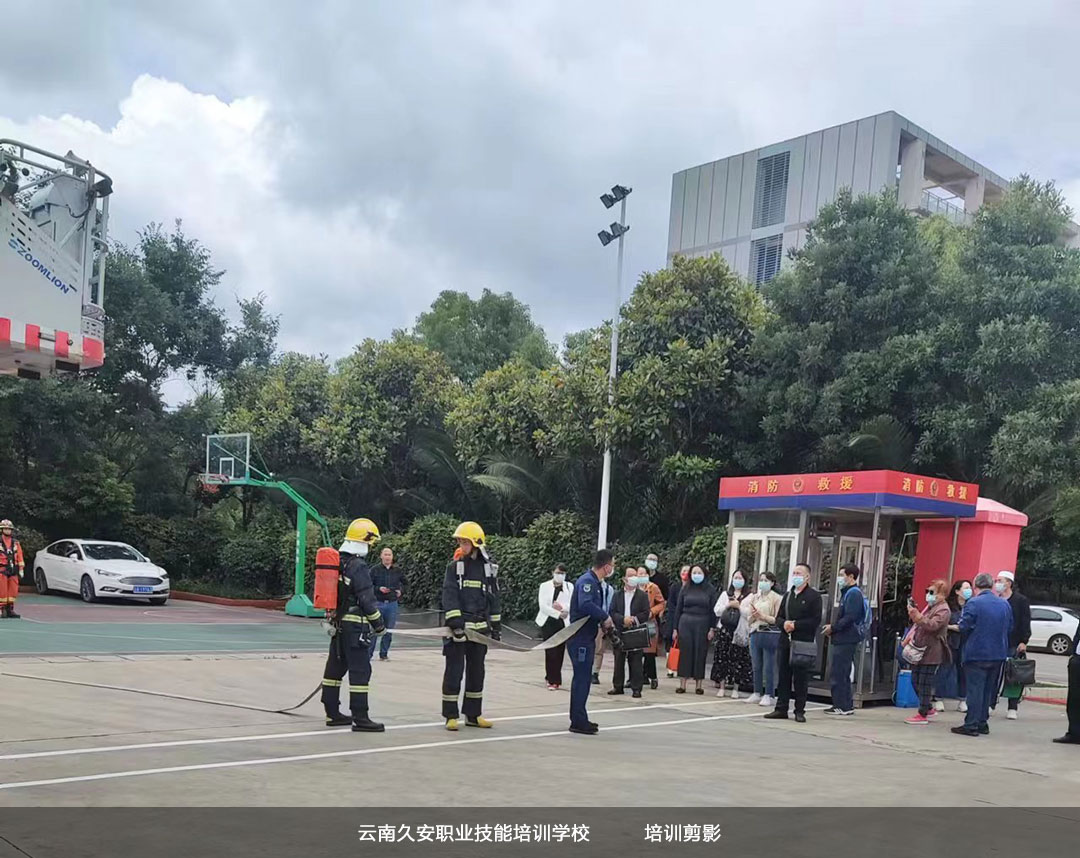 2022ȫڽ̻(dng)(chng)ȫv