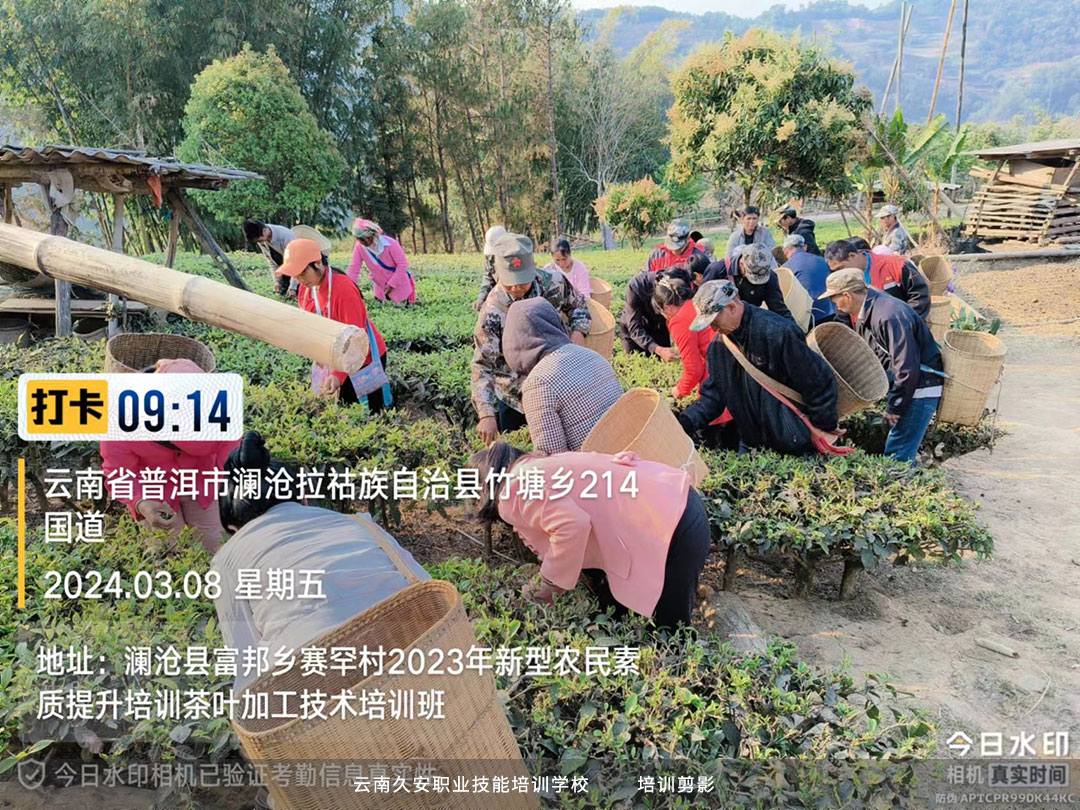 由我校承辦的2024年新型農民素質提升培訓“茶葉加工技術培訓”班開班 由我校承辦的2024年新型農民素質提升培訓“茶葉加工技術培訓”班開班